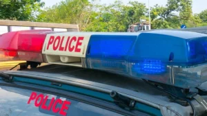 हरियाणा साइबर पुलिस की बड़ी कार्रवाई: गन कल्चर वाले 10 हरियाणवी गाने सोशल मीडिया से हटवाए।