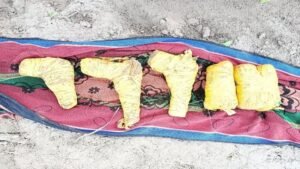 अमृतसर सीमा पर बड़ी कार्रवाई: 1 किलो 312 ग्राम आइस ड्रग और 3 पिस्तौल बरामद