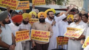 आप ने भाजपा सरकार द्वारा ED-CBI के दुरुपयोग के खिलाफ प्रदर्शन किया, PM मोदी का फूंका पुतला